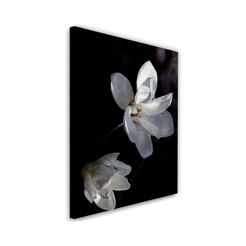 Modern wall painting Flower of a blooming tree | FEEBY