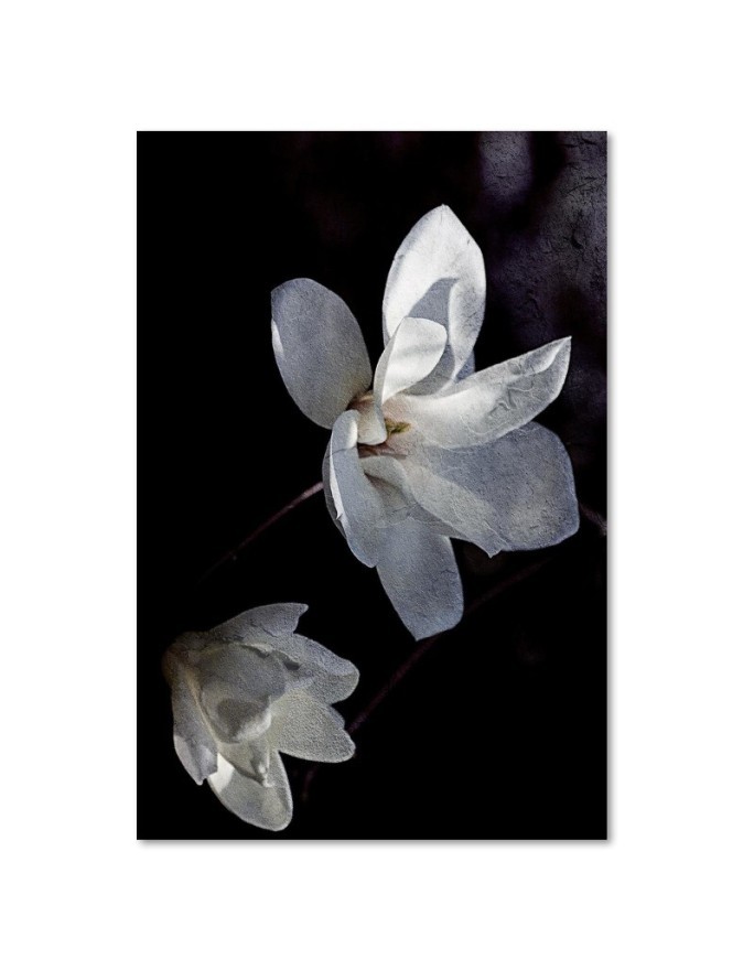 Modern wall painting Flower of a blooming tree | FEEBY
