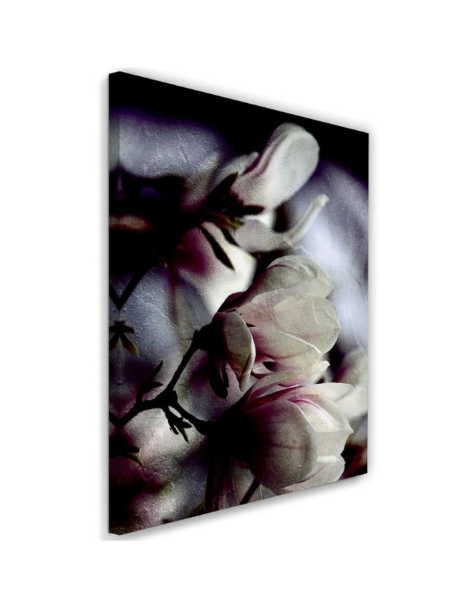 Canvas print Magnolia...