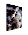 Close-up magnolia flower wall art painting Dmitry Belov | FEEBY