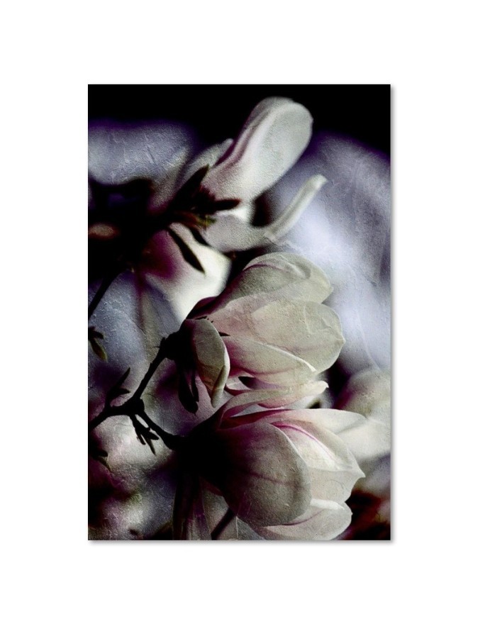 Close-up magnolia flower wall art painting Dmitry Belov | FEEBY