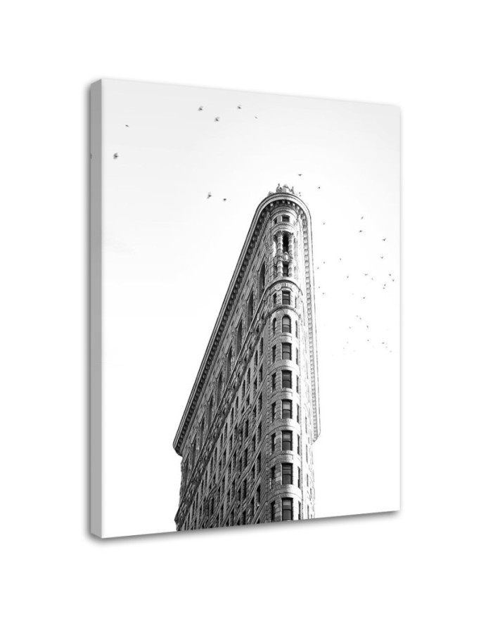 Decorative Canvas painting Flatiron Dmitry Belov | FEEBY