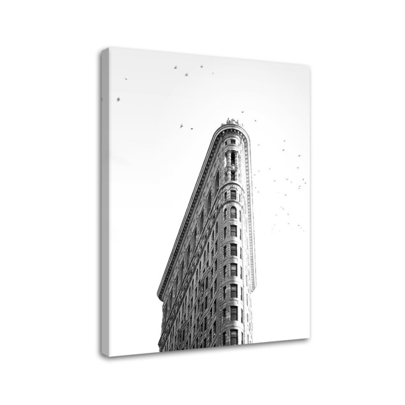 Decorative Canvas painting Flatiron Dmitry Belov | FEEBY