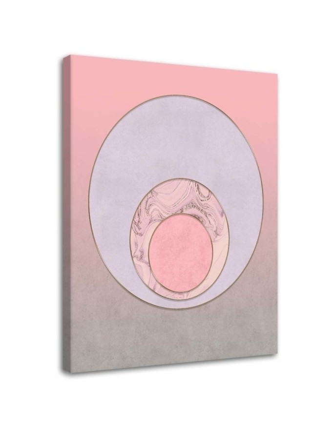 Decorative Canvas painting for bathroom - Pink abstract circles | FEEBY