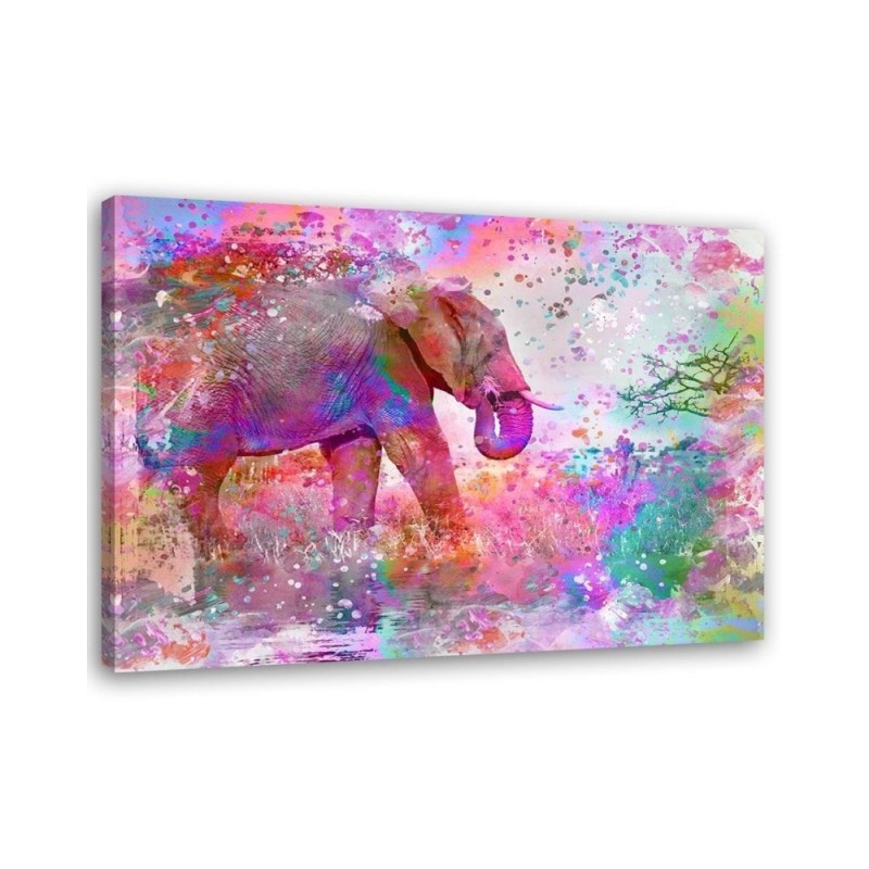 Pictures on Canvas for a girl's room - Colourful elephant Andrea Haase | FEEBY