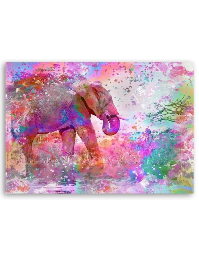 Pictures on Canvas for a girl's room - Colourful elephant Andrea Haase | FEEBY