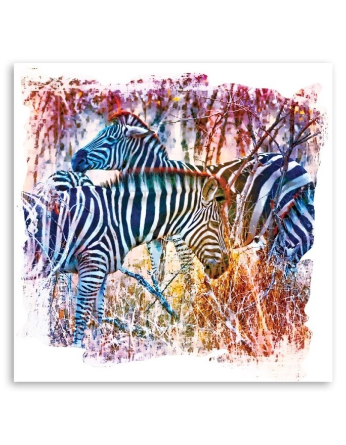 Zebra colourful wall art painting for teenagers Andrea Haase | FEEBY