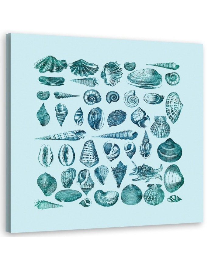 Canvas prints for spa, bathroom - Blue seashells Andrea Haase | FEEBY