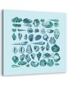 Canvas prints for spa, bathroom - Blue seashells Andrea Haase | FEEBY