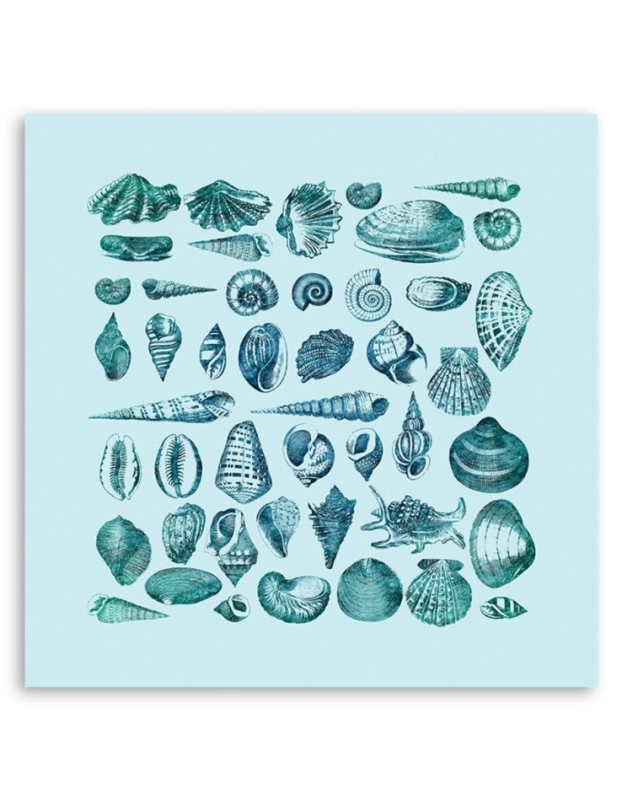 Canvas prints for spa, bathroom - Blue seashells Andrea Haase | FEEBY