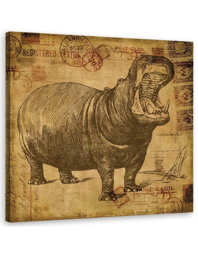 Wall art illustration painting - Hippopotamus in sepia Andrea Haase | FEEBY