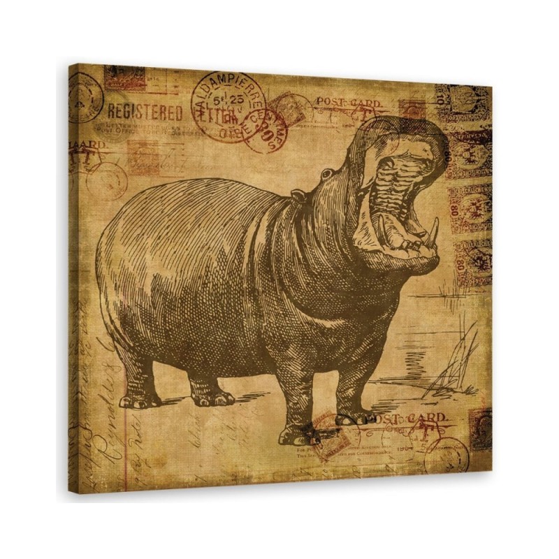 Wall art illustration painting - Hippopotamus in sepia Andrea Haase | FEEBY