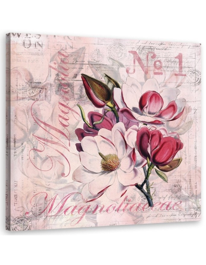 Canvas prints for the bedroom - Magnolias on a pink background Andrea Haase | FEEBY