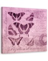 Canvas prints illustration - Butterflies on pink background Andrea Haase | FEEBY