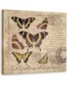 Canvas prints for living room - Butterflies on beige background Andrea Haase | FEEBY