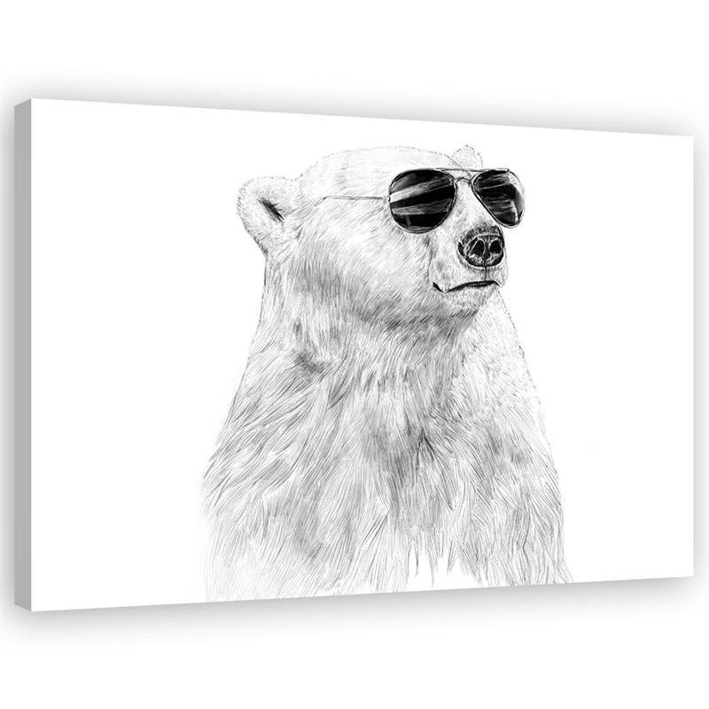 Canvas prints for children's room - Bear with glasses Balazs Solti | FEEBY