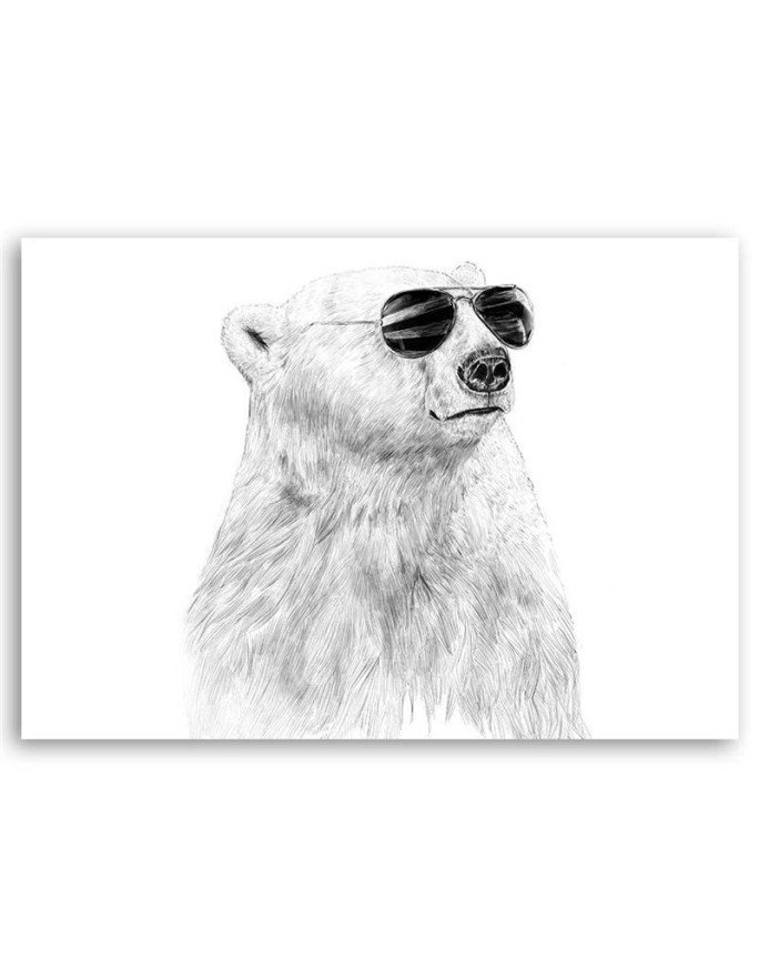 Canvas prints for children's room - Bear with glasses Balazs Solti | FEEBY