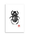 Printed wall art painting Beetle insects Péchane | FEEBY