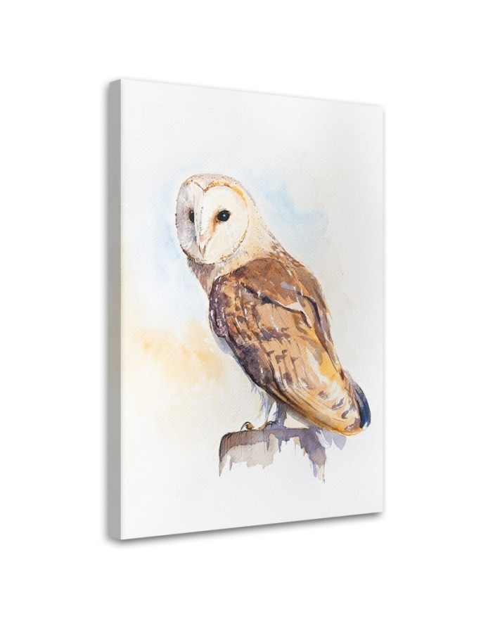 Pictures on Canvas for a child's room - Owl Dorota Martynska | FEEBY