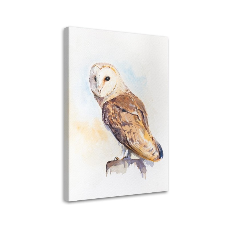 Pictures on Canvas for a child's room - Owl Dorota Martynska | FEEBY