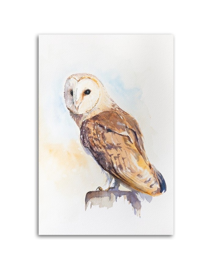 Pictures on Canvas for a child's room - Owl Dorota Martynska | FEEBY