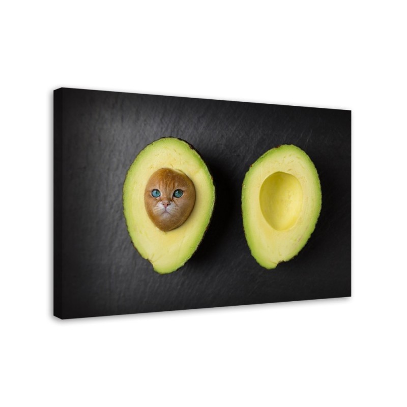 Prints on Canvas for kitchen - Avocado Cat Galina Bugaevskaya | FEEBY