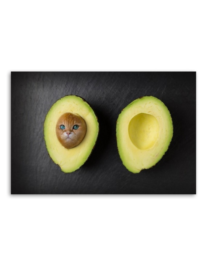Prints on Canvas for kitchen - Avocado Cat Galina Bugaevskaya | FEEBY