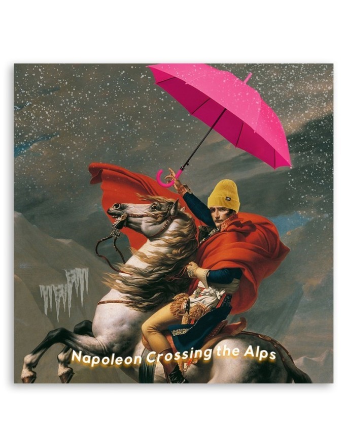 Digital art Canvas painting - Napoleon on horseback with umbrella Bekir Ceylan | FEEBY