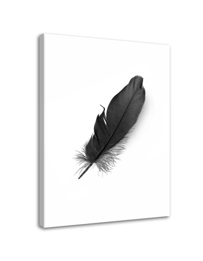 Canvas print Black feather