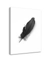 Canvas prints for living room printed on canvas - Black feather | FEEBY