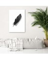 Canvas prints for living room printed on canvas - Black feather | FEEBY