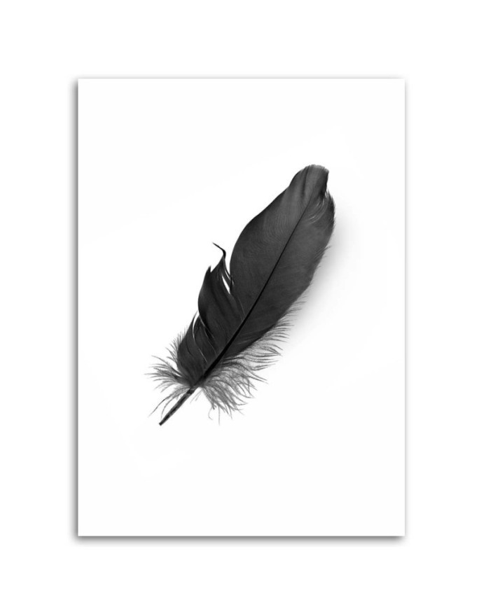 Canvas prints for living room printed on canvas - Black feather | FEEBY