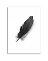 Canvas prints for living room printed on canvas - Black feather | FEEBY