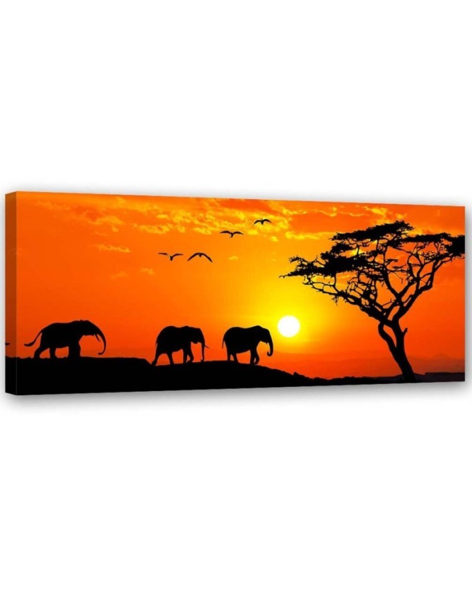 Canvas prints for living room on canvas - Elephant sunset savannah | FEEBY