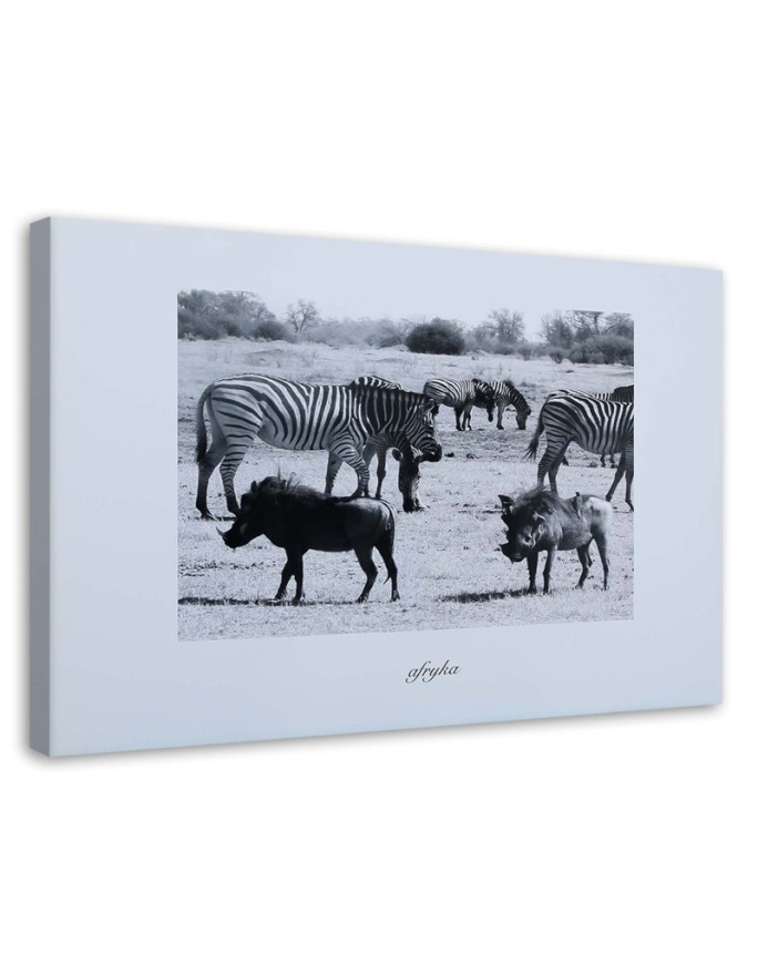 Wall art painting for office - Africa zebra on savannah | FEEBY