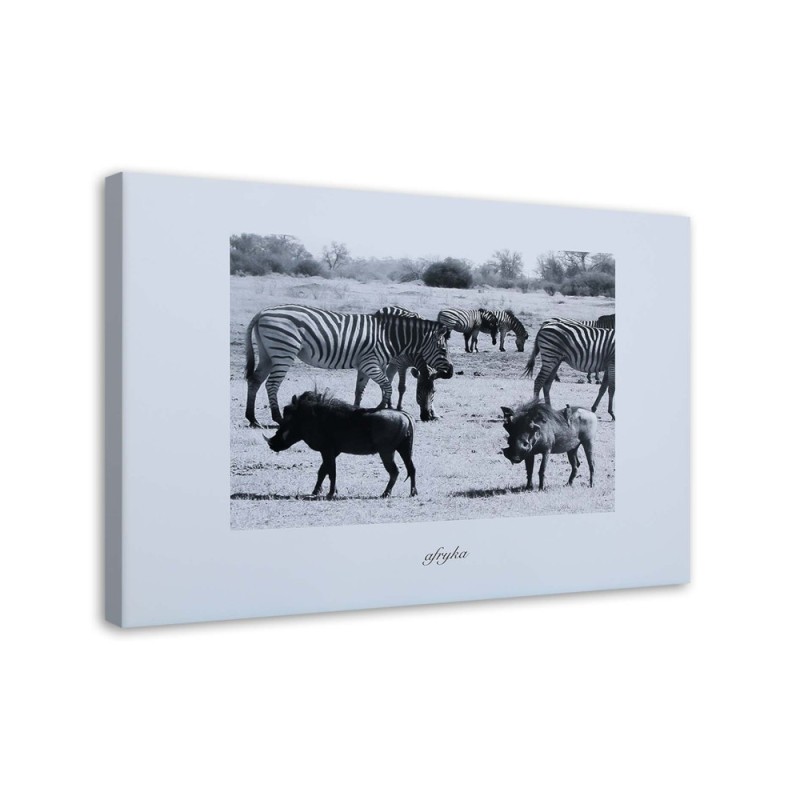 Wall art painting for office - Africa zebra on savannah | FEEBY