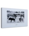 Wall art painting for office - Africa zebra on savannah | FEEBY