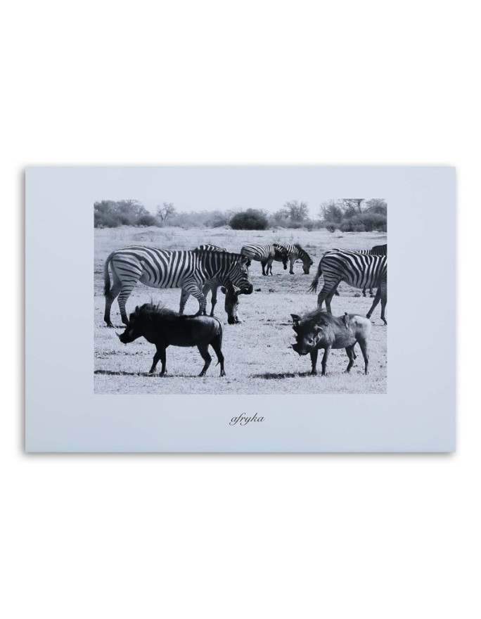 Wall art painting for office - Africa zebra on savannah | FEEBY