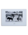 Wall art painting for office - Africa zebra on savannah | FEEBY