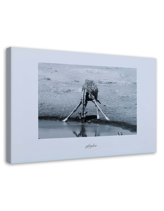 Canvas painting - Africa giraffe at the watering hole | FEEBY