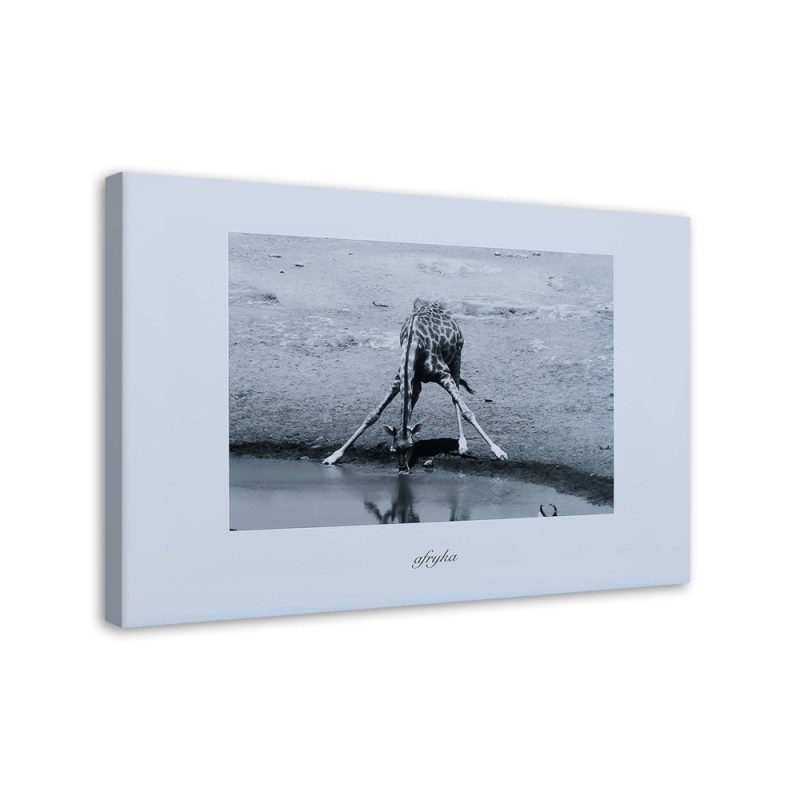 Canvas painting - Africa giraffe at the watering hole | FEEBY