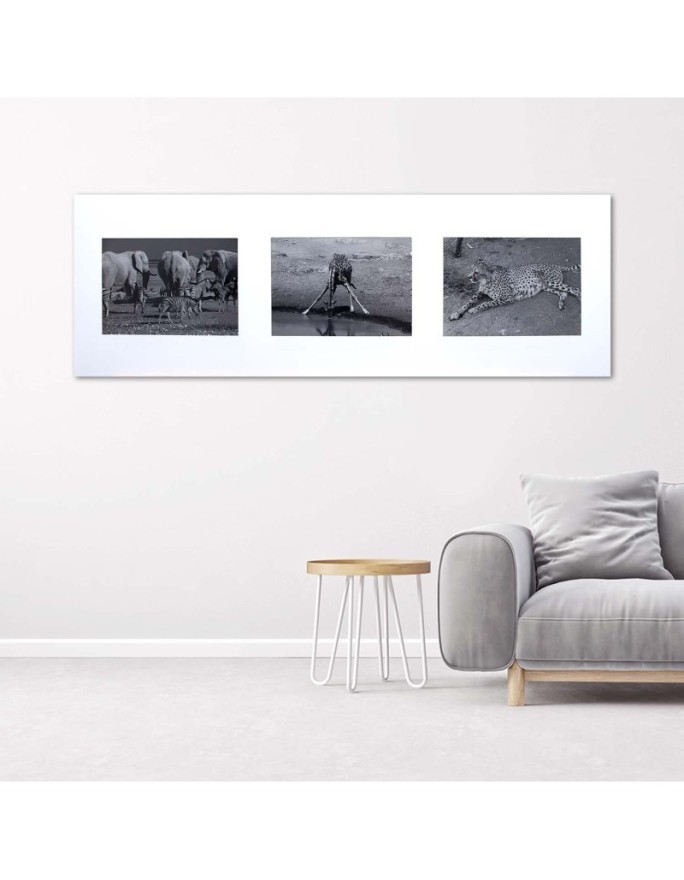 Canvas pictures - Collage of animals of Africa | FEEBY