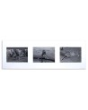 Canvas pictures - Collage of animals of Africa | FEEBY