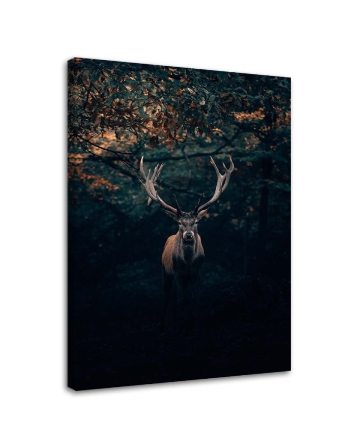 Canvas print Deer in the...