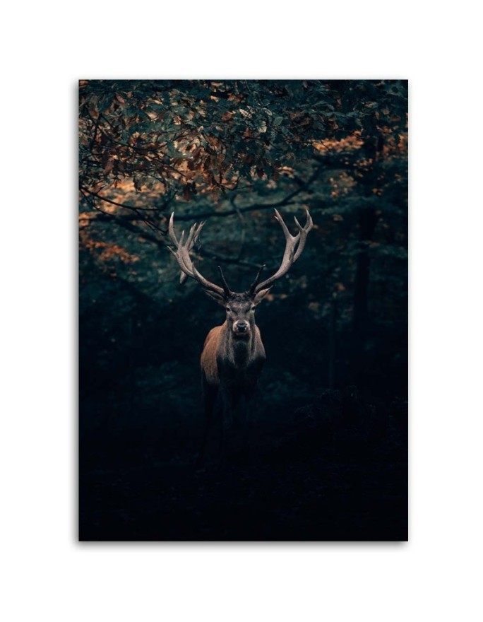 Canvas painting for living room - Deer in scrubs | FEEBY
