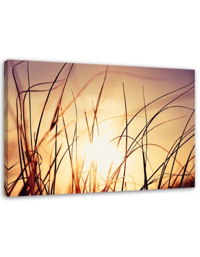 Canvas print Grass in the...