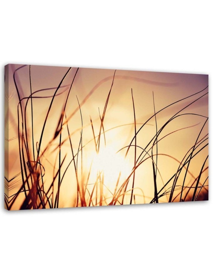 Decorative Canvas painting for wall - Grass in the sunshine | FEEBY