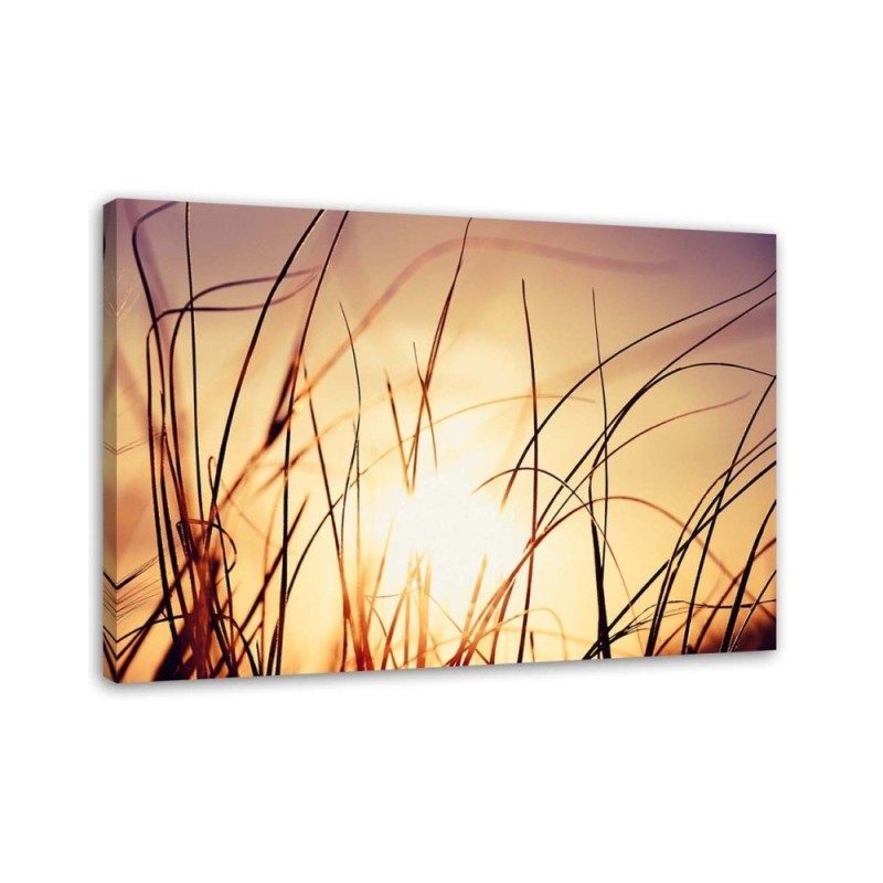 Decorative Canvas painting for wall - Grass in the sunshine | FEEBY