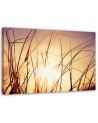 Decorative Canvas painting for wall - Grass in the sunshine | FEEBY