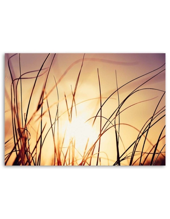 Decorative Canvas painting for wall - Grass in the sunshine | FEEBY
